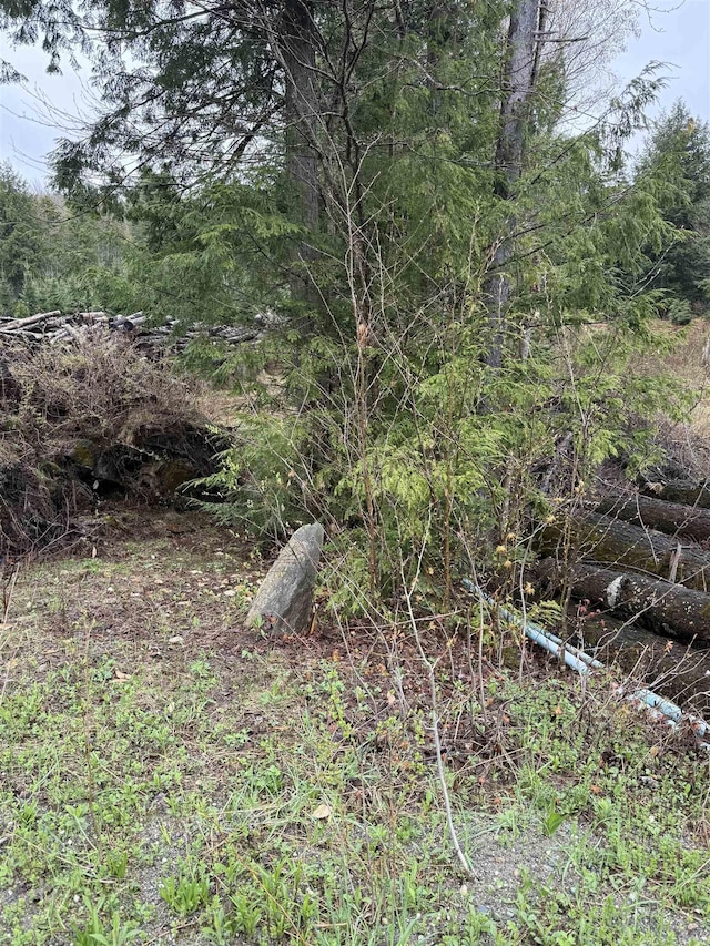 0 Jones Ln, Wolcott, VT 05680
