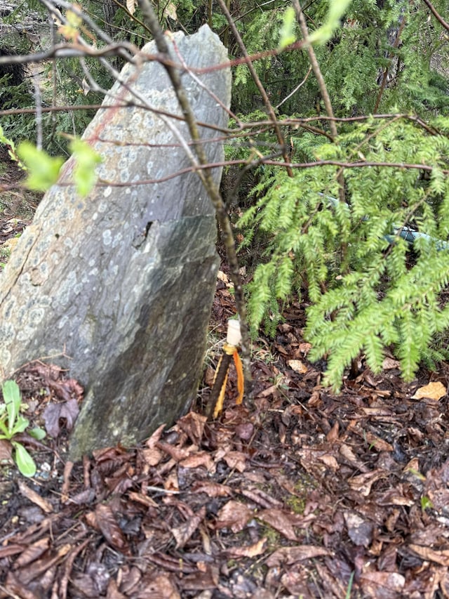 0 Jones Ln, Wolcott, VT 05680