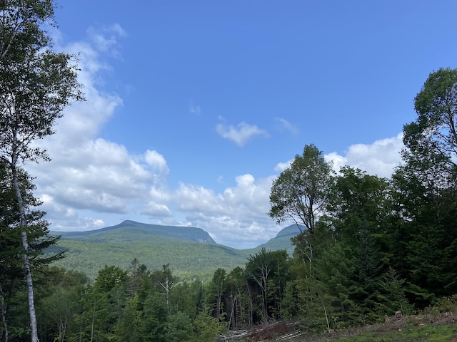 view of mountain feature featuring a forest view