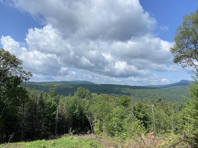 mountain view with a forest view