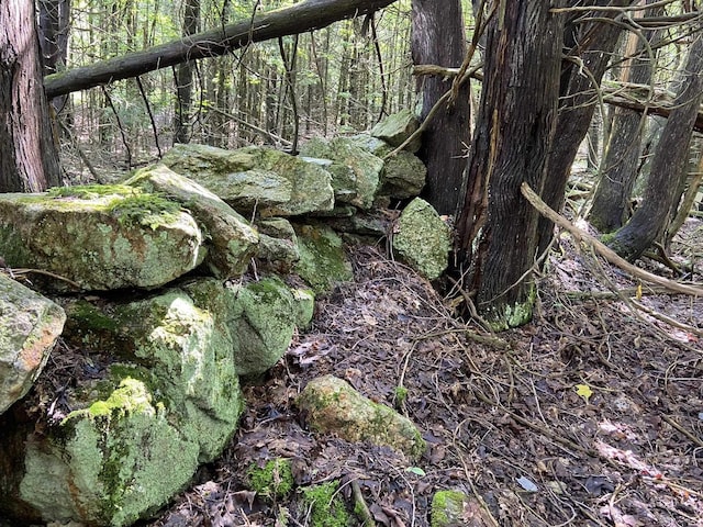 view of nature