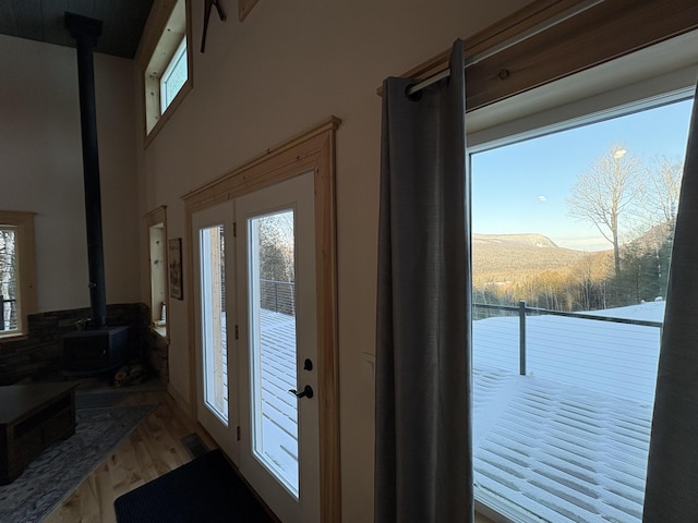 entryway featuring a mountain view, wood finished floors, a wealth of natural light, and a wood stove