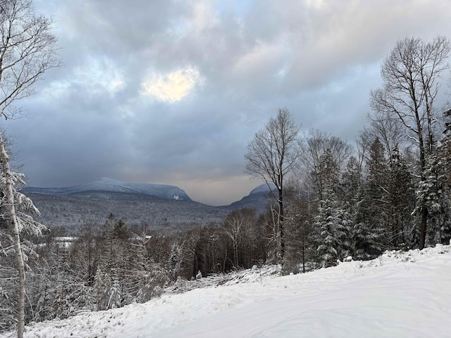 mountain view with a forest view