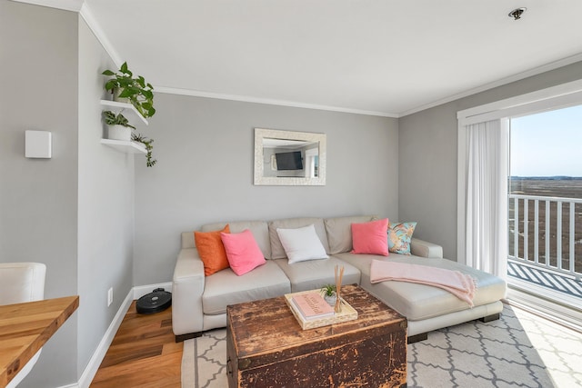 living room with wood finished floors, ornamental molding, and baseboards