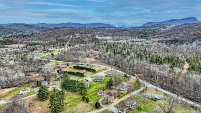 35 Meadow Ln, Castleton, VT 05732