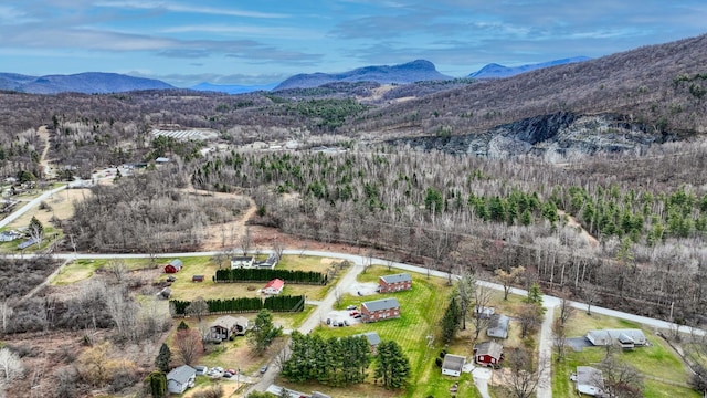 35 Meadow Ln, Castleton, VT 05732