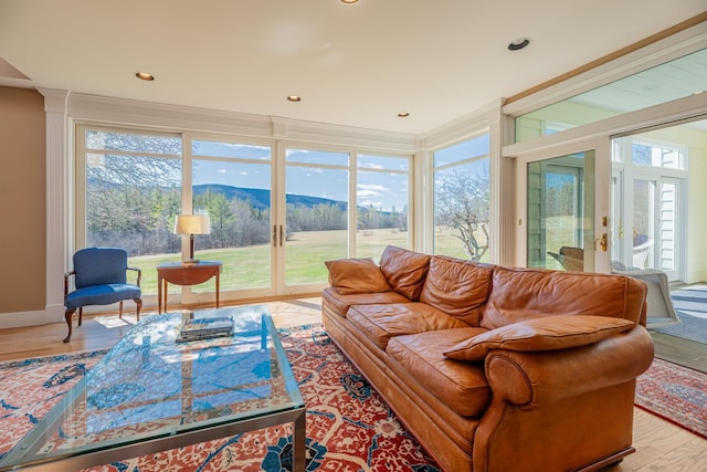 sunroom featuring baseboards, wood finished floors, a wealth of natural light, and a mountain view