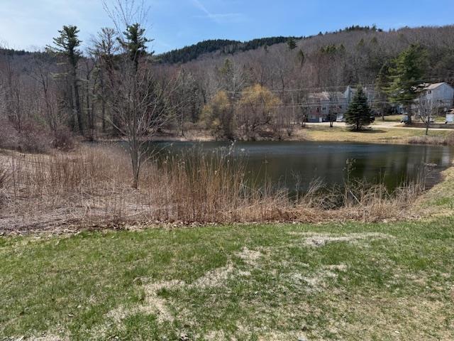 property view of water with a wooded view