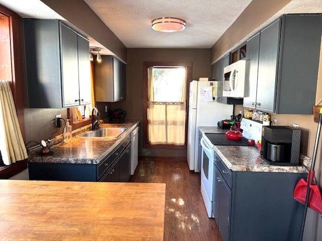 kitchen with blue cabinetry, a textured ceiling, dark wood finished floors, a sink, and white appliances