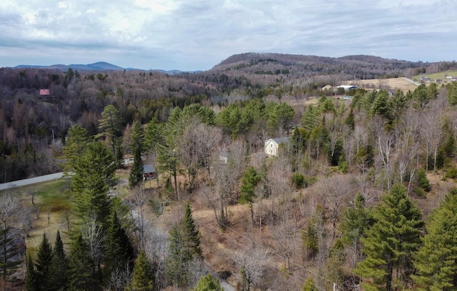 3 Cross Rd, Cabot, VT 05647