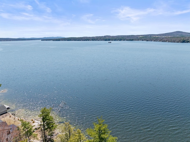property view of water