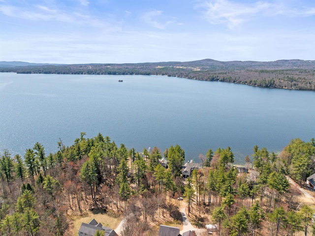 bird's eye view featuring a water view and a forest view