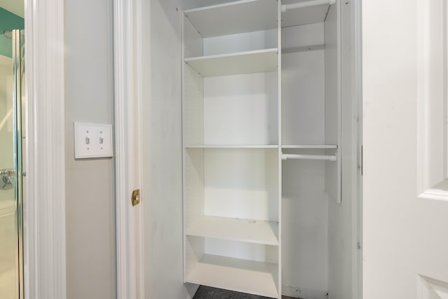 view of closet