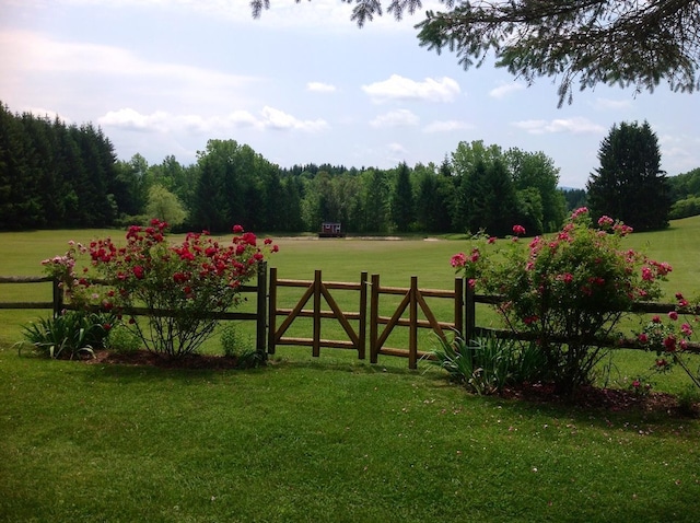 view of yard with fence and a rural view
