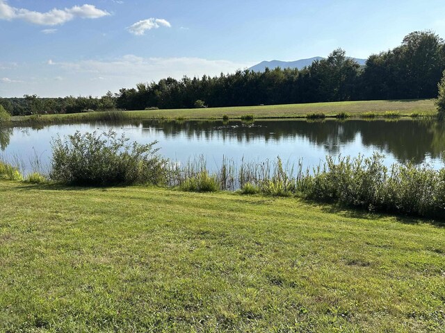 161 Upper Jaffrey Rd, Dublin, NH 03444 - view of water feature