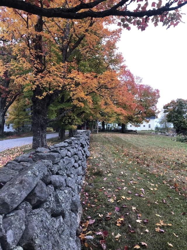 161 Upper Jaffrey Rd, Dublin, NH 03444 - view of home's community with a yard