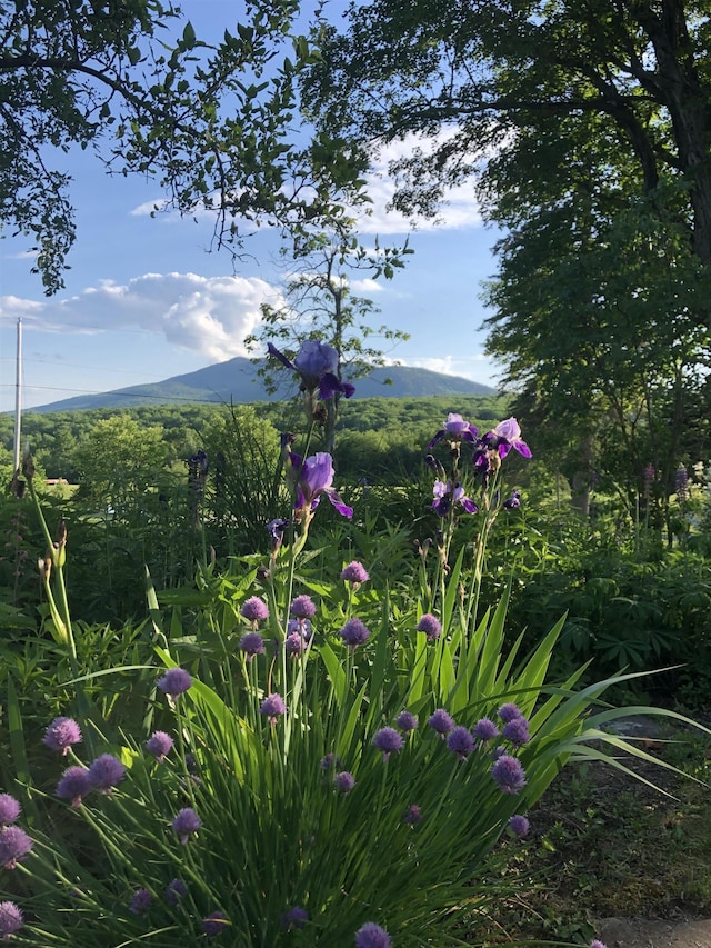161 Upper Jaffrey Rd, Dublin, NH 03444 - exterior space with a mountain view
