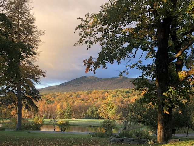 161 Upper Jaffrey Rd, Dublin, NH 03444 - view of mountain feature with a forest view and a water view