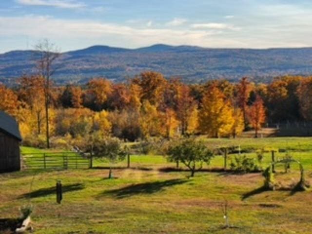 mountain view