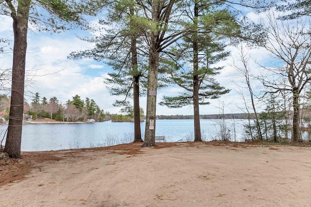 property view of water