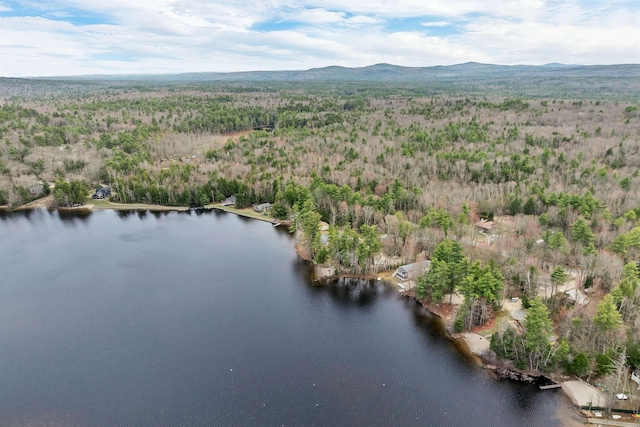 bird's eye view with a water and mountain view and a view of trees