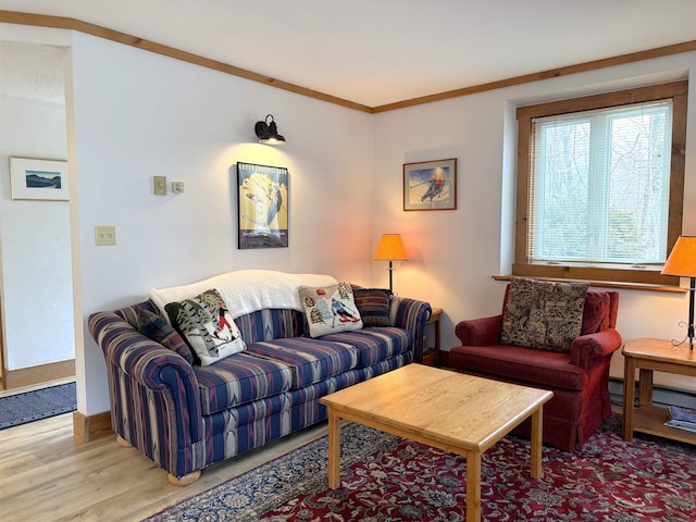living area featuring crown molding and wood finished floors