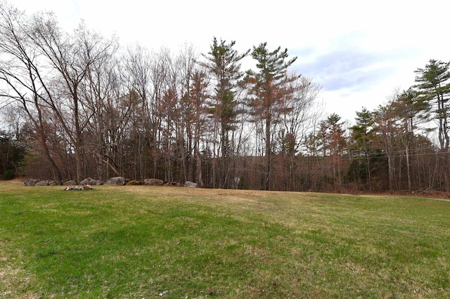 view of yard featuring a view of trees