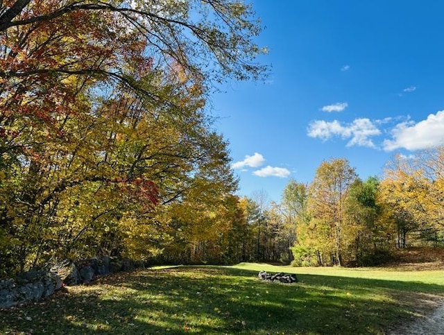 view of yard featuring a forest view