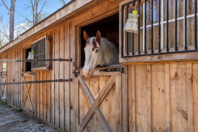view of horse barn