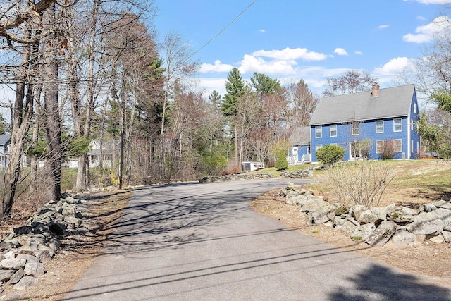 view of road with driveway
