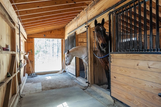 view of horse barn