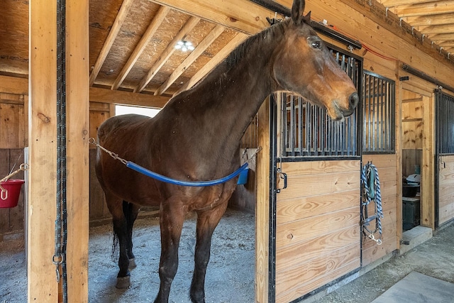view of stable