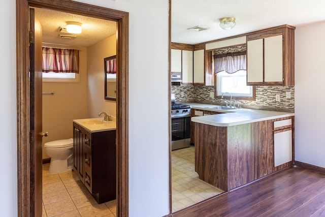 kitchen featuring a sink, stainless steel gas range, a peninsula, and tasteful backsplash