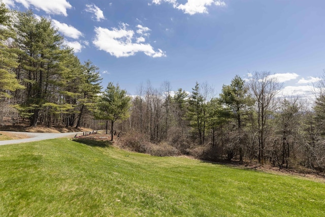 view of yard with a wooded view