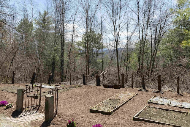 view of yard featuring a view of trees