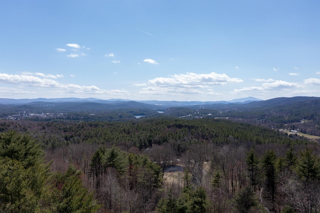 mountain view featuring a forest view