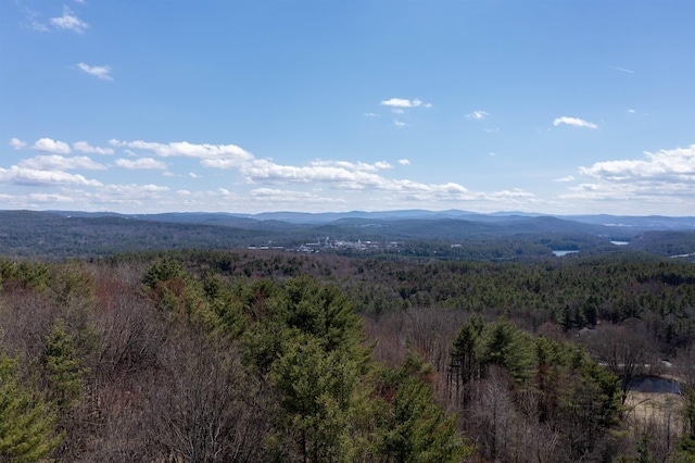 mountain view with a view of trees
