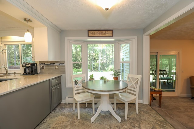 dining room with baseboards, baseboard heating, a textured ceiling, and a healthy amount of sunlight