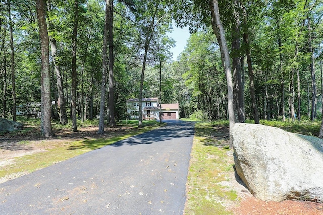 view of street featuring driveway and a wooded view