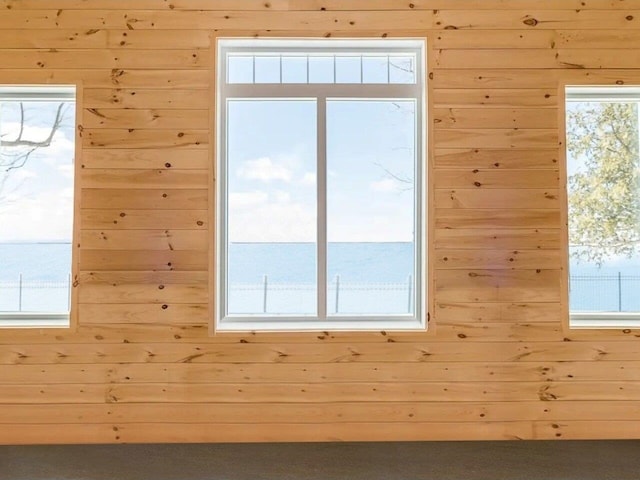entryway with a healthy amount of sunlight and wood walls