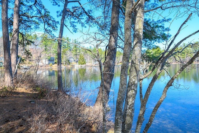 view of water feature