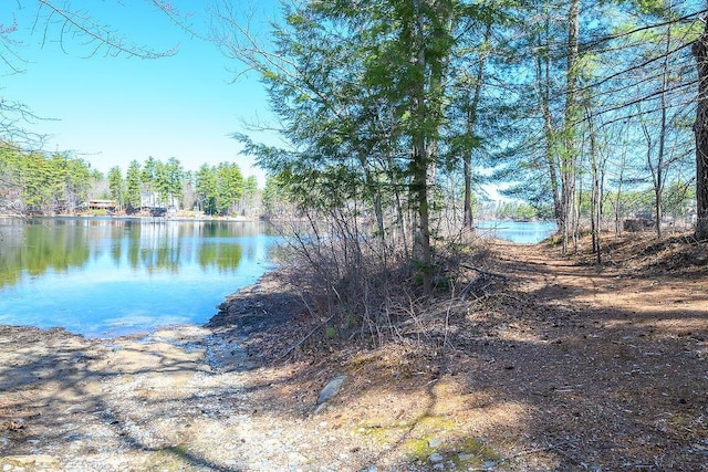 property view of water featuring a view of trees