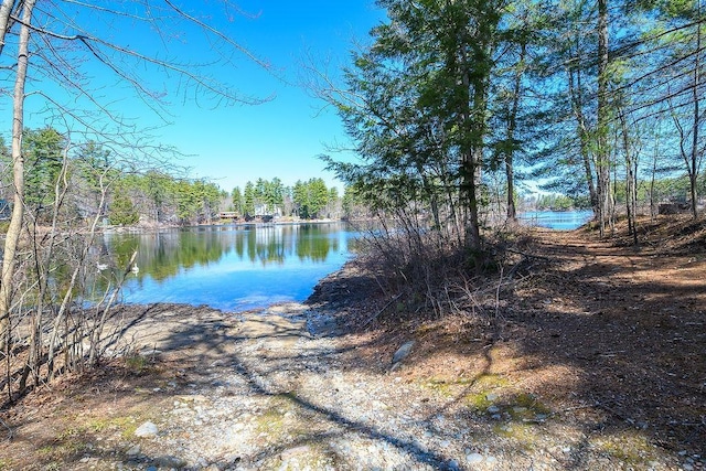 water view featuring a wooded view