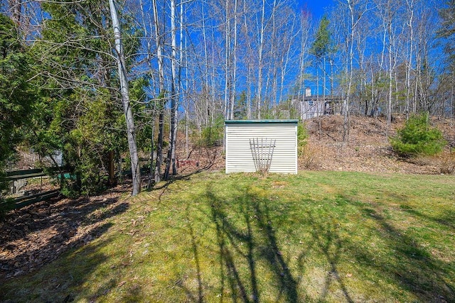 view of yard with a storage unit and an outdoor structure
