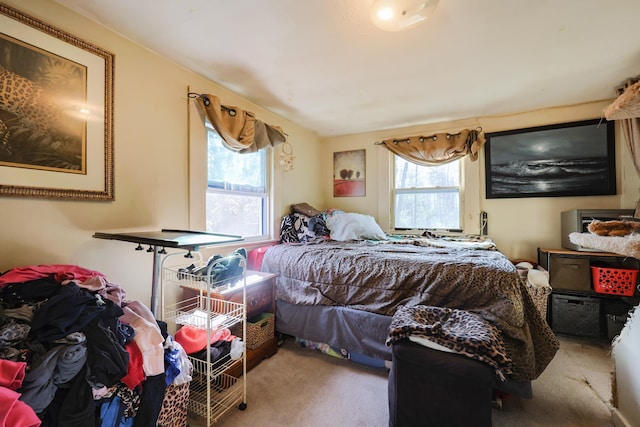 bedroom with carpet and multiple windows