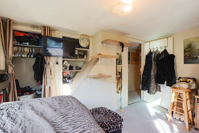 bedroom with carpet and a closet
