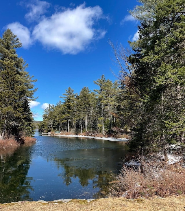 1183 Faxon Hill Rd, Washington, NH 03280 - view of water feature featuring a forest view