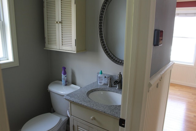 bathroom featuring vanity, wood finished floors, and toilet
