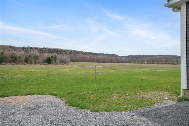 view of yard with a view of trees and a rural view