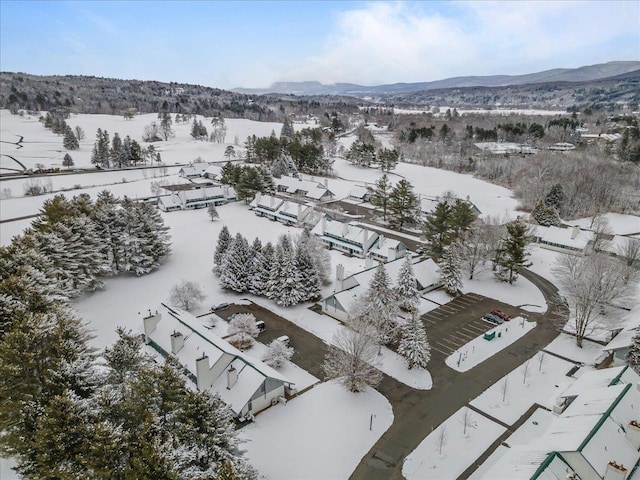 snowy aerial view with a mountain view